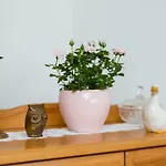 Harzblick 라우텐탈