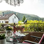 Harzblick 아파트 *