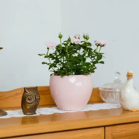 Harzblick Lautenthal