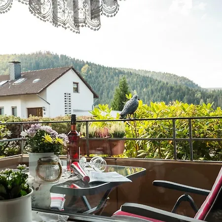 Harzblick Apartmán *