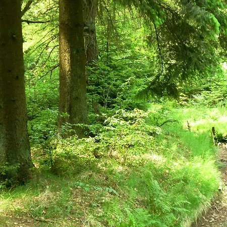 Harzblick Apartmán Lautenthal