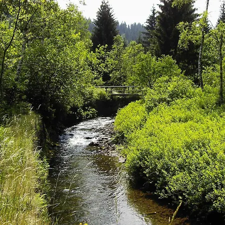 Apartmán Harzblick *
