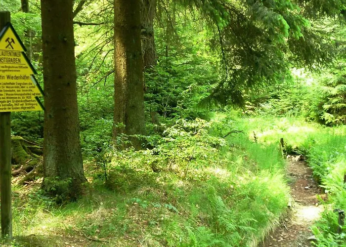 Harzblick 公寓 劳滕塔尔